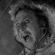 Illustration for article titled The 5 Films That Helped Define the Career of Gene Wilder